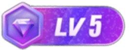 等级-LV5-小白的ACG游戏库