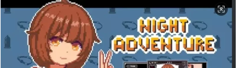 【PC+安卓/互动SLG/像素风】夜间冒险Night adventure DL完整版 【75.27m】-acg游戏资源网